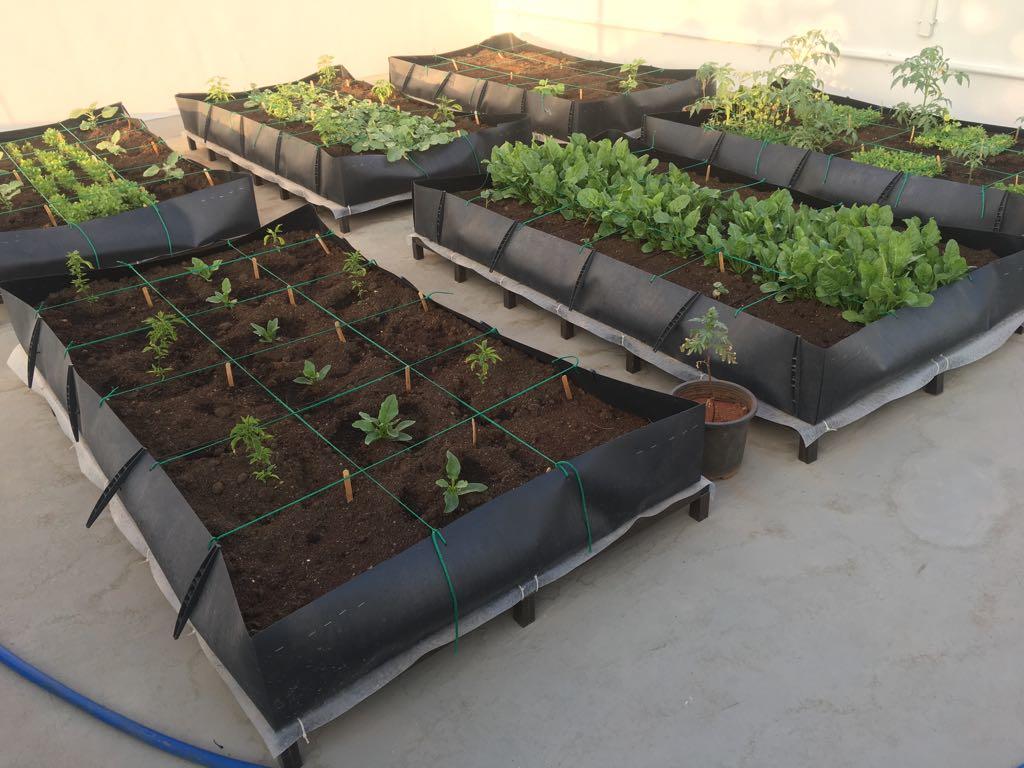Terrace Garden Kits Rooftop Grow Vegetables At Home Visiting Charge For Those Who Need A Visit To Their Residence Assistance On Choosing The Packages Minimum Of Rs 200 Will Be Charged