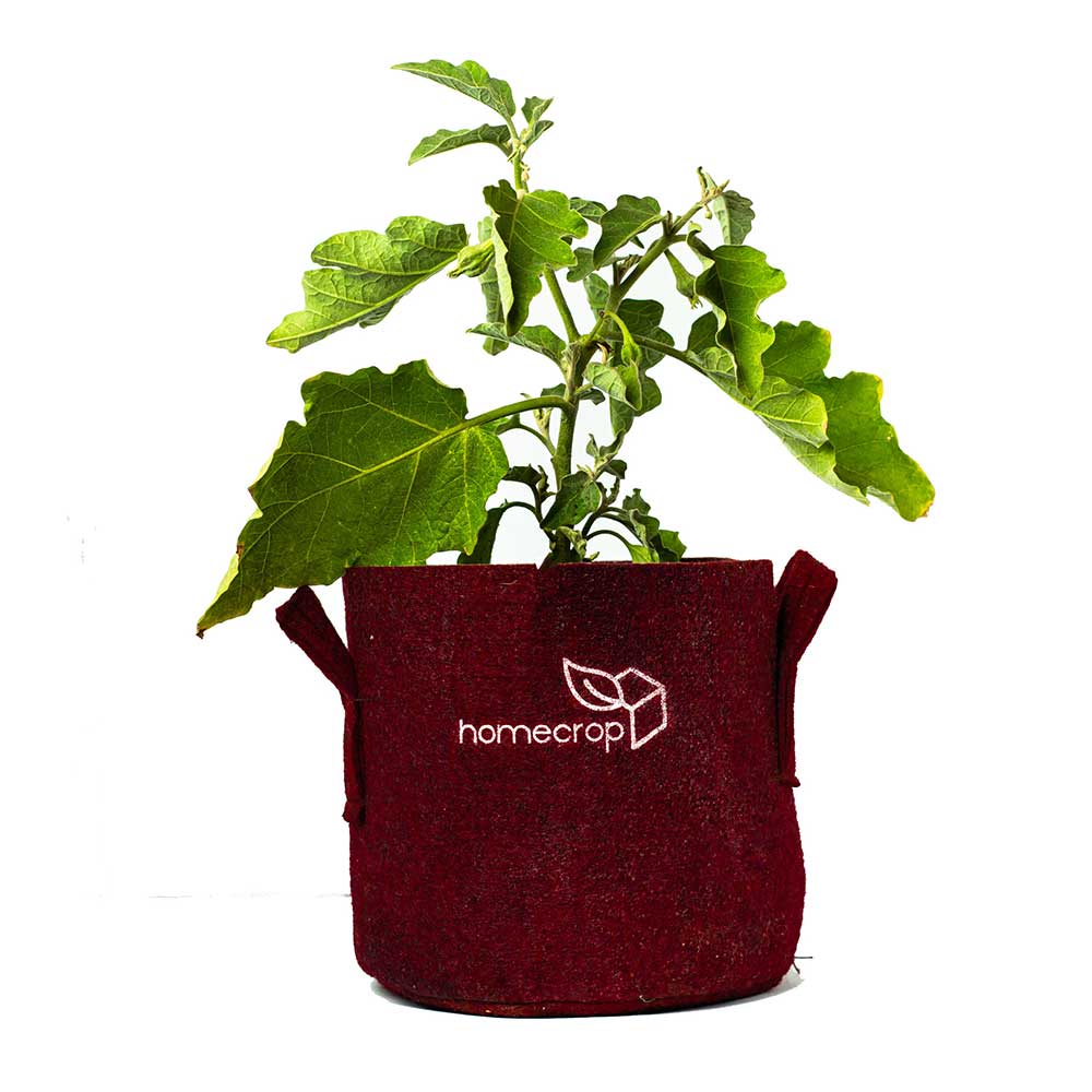 Best Grow Bags Wholesale Manufacturers
