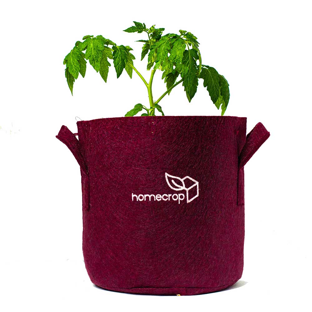 Smart Grow Bags By Homecrop Buy Grow Bags Online In India